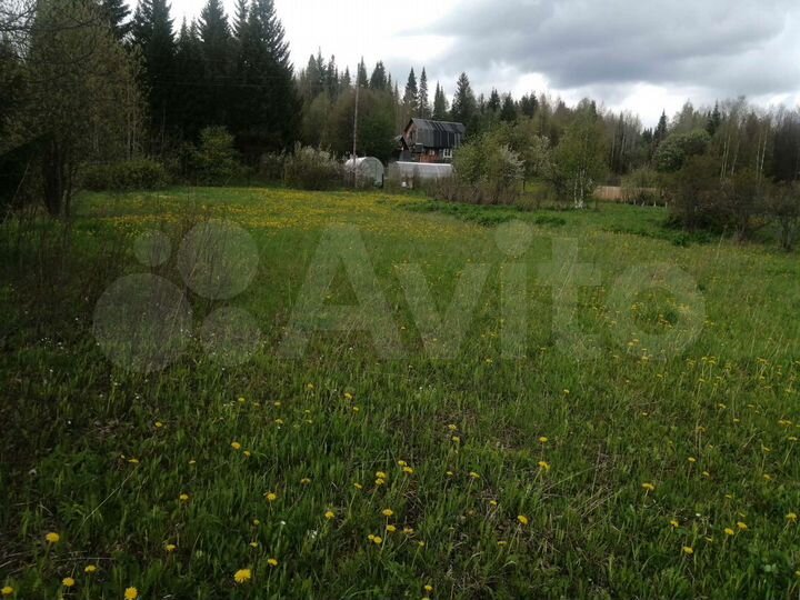 Участок 10 сот. (СНТ, ДНП)