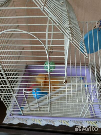 Клетка для волнистого попугая