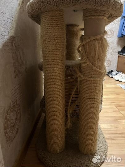 Когтеточка