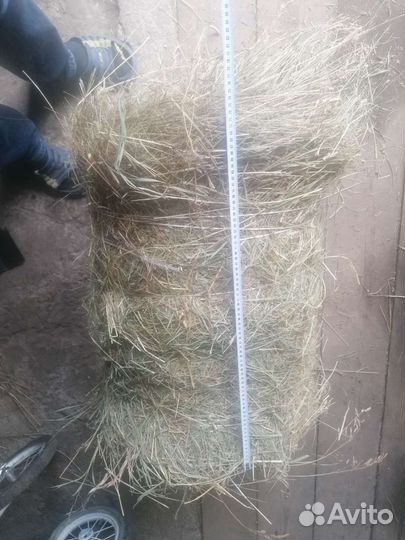 Сено в мини рулонах