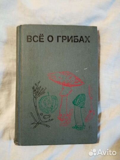 Все о грибах