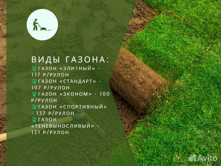 Укладка и продажа рулонного газона