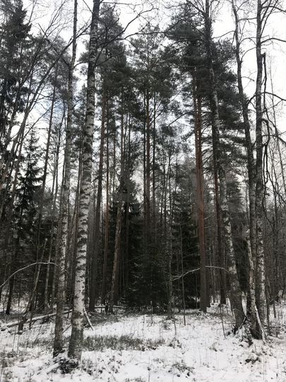 Участок 2,38 га (СНТ, ДНП)