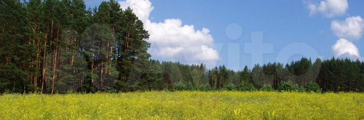 Участок 2,43 га (СНТ, ДНП)