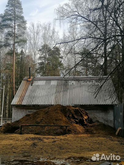 Конский навоз напрямую