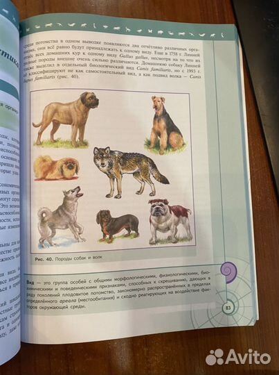 Биология 11 класс.Учебник. Базовый уровень/Пасечни