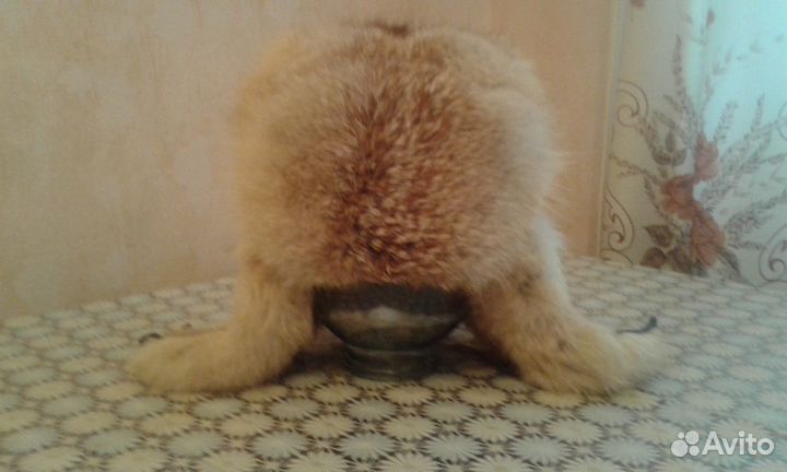 Шапки норковые