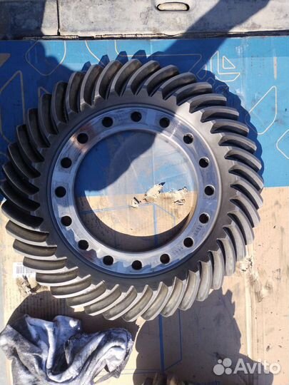 Главная пара даф