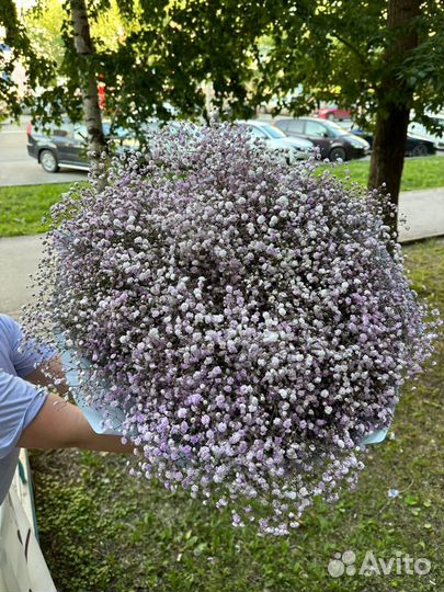 Шикарный букет из гипсофилы с доставкой