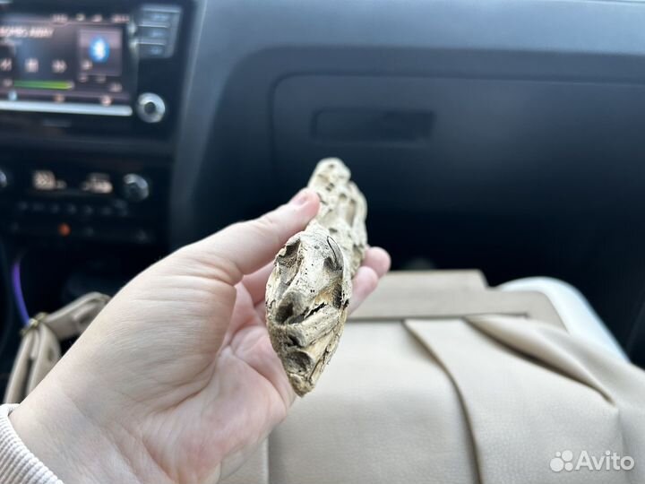 Коряги для террариума аквариума