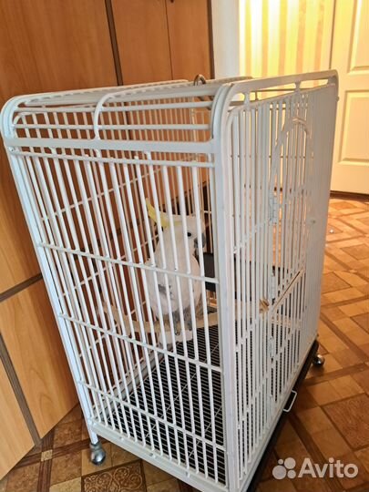 Клетка для крупного попугая