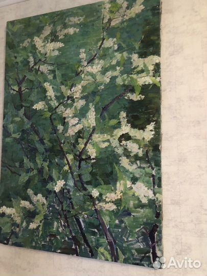 Картины масло А.Ф. Токарева