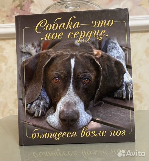 О собаках, подарок друзьям, фотографии