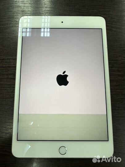 iPad mini 4 128