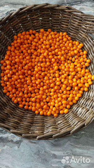 Свежая лесная облепиха