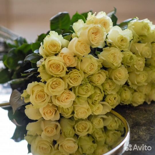 Букет желтых роз 51 роза Доставка