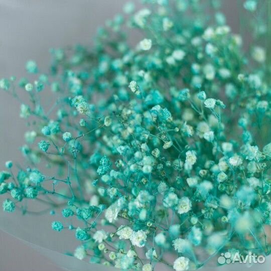 Букет из 5 голубых гипсофил