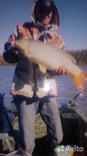 Свежая / копченая рыбы