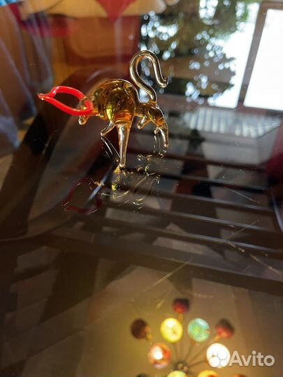 Бычок стеклянный