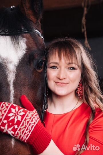 Дед Мороз и Снегурочка на лошадях