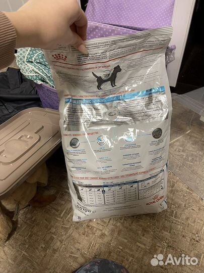 Корм для собак