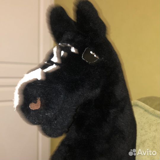 Хоббихорс на обмен