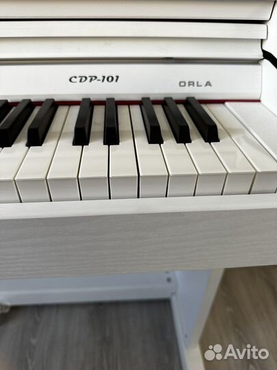 Цифровое пианино Orla CDP 101 белый матовый
