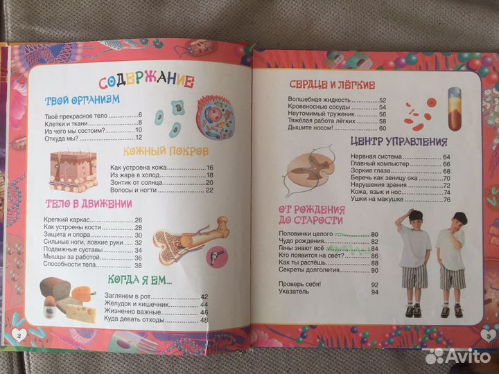 Детская энциклопедия «Человек»