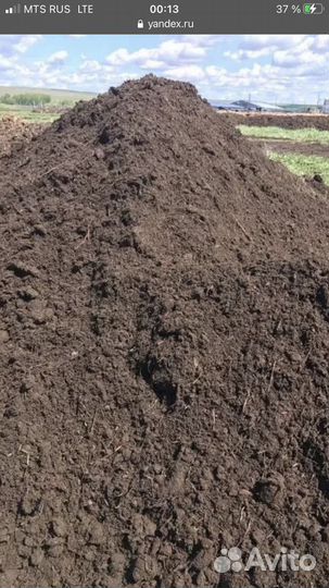 Перегной навоз