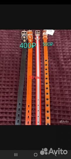 Ошейники, поводки