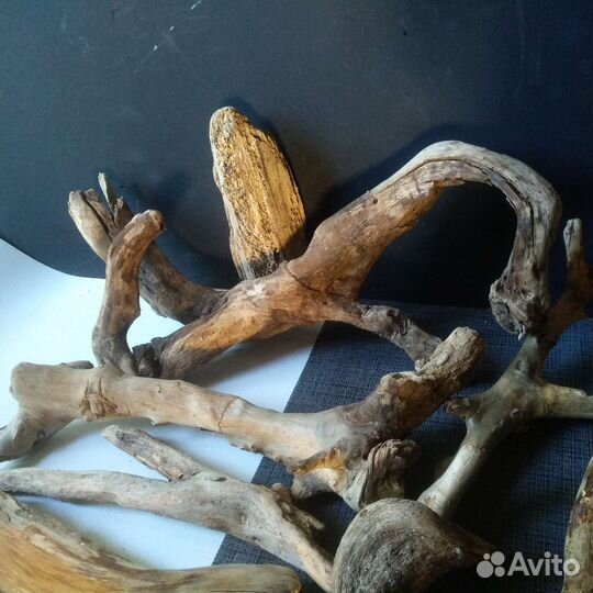 Коряги дрифтвуд. Набор 8 шт. Лот 111