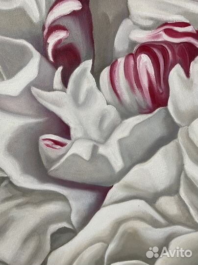 Интерьерная картина маслом «Белый пион» 70/70 см