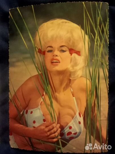 Актриса Jayne Mansfield, 50-60 г