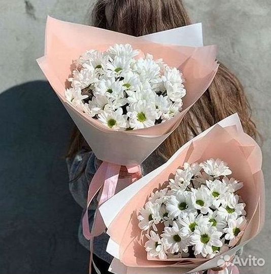 Хризантема Доставка цветов