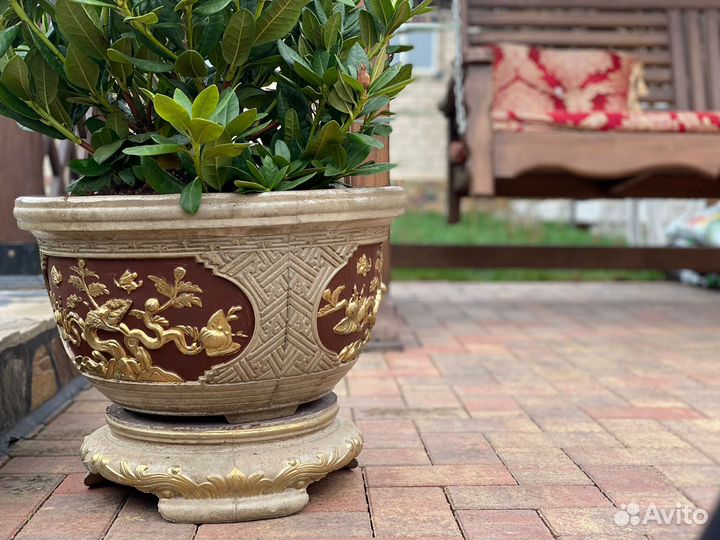 Бетонные Горшки для цветов,туи и прочих растений