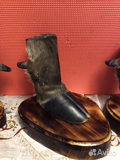 Сивенир Копыта Лося