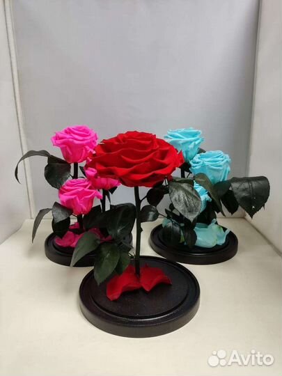 Подарок на новый год / Роза в колбе