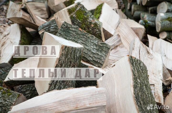 Дрова сухие