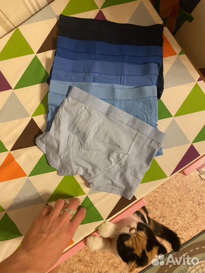 Трусы HM