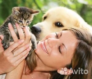 Передержка собак в семье не зоогостиница