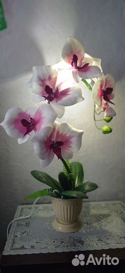 Орхидея