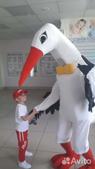 Ведущая на праздник