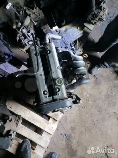 Двигатель форд фокус 1 1.6 fyda