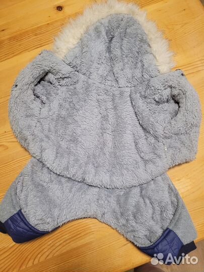 Одежда для собак мелких пород