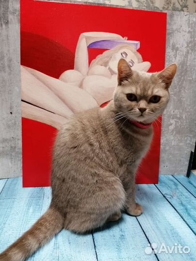 Картина на холсте