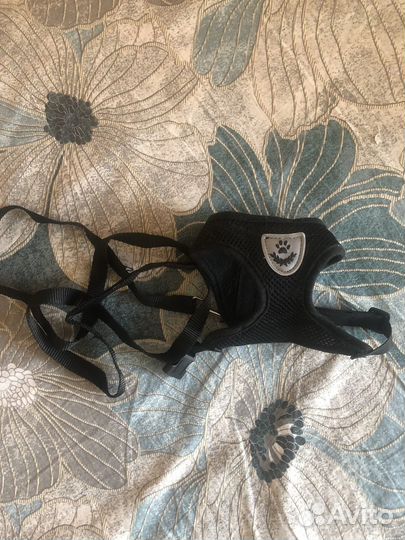 Одежда для собак