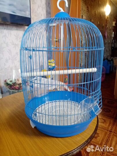 Клетка для разных птиц