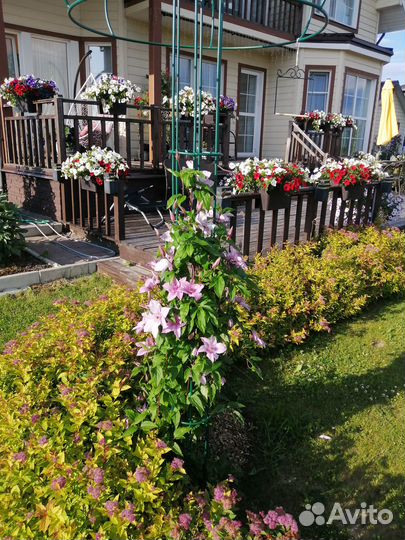 Садовая опора под клематисы 