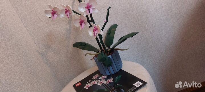 10311 Lego Botanical Collection 