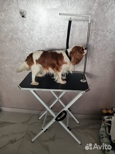 Стол для груминга